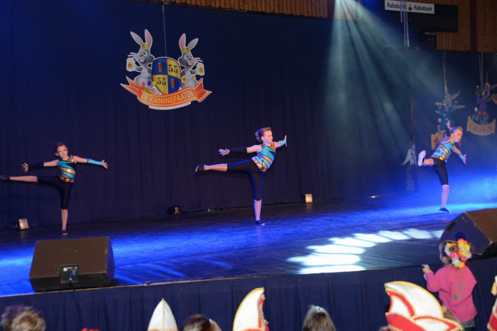 ../Images/Dansmarieke festival 2015 357.jpg